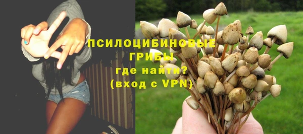 a pvp Верея