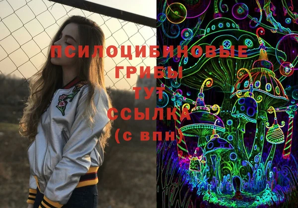 дмт Вязьма