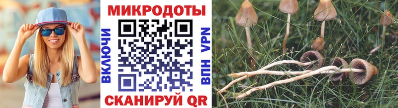 Галлюциногенные грибы MAGIC MUSHROOMS  ссылка на мегу зеркало  Долинск  где купить наркоту 